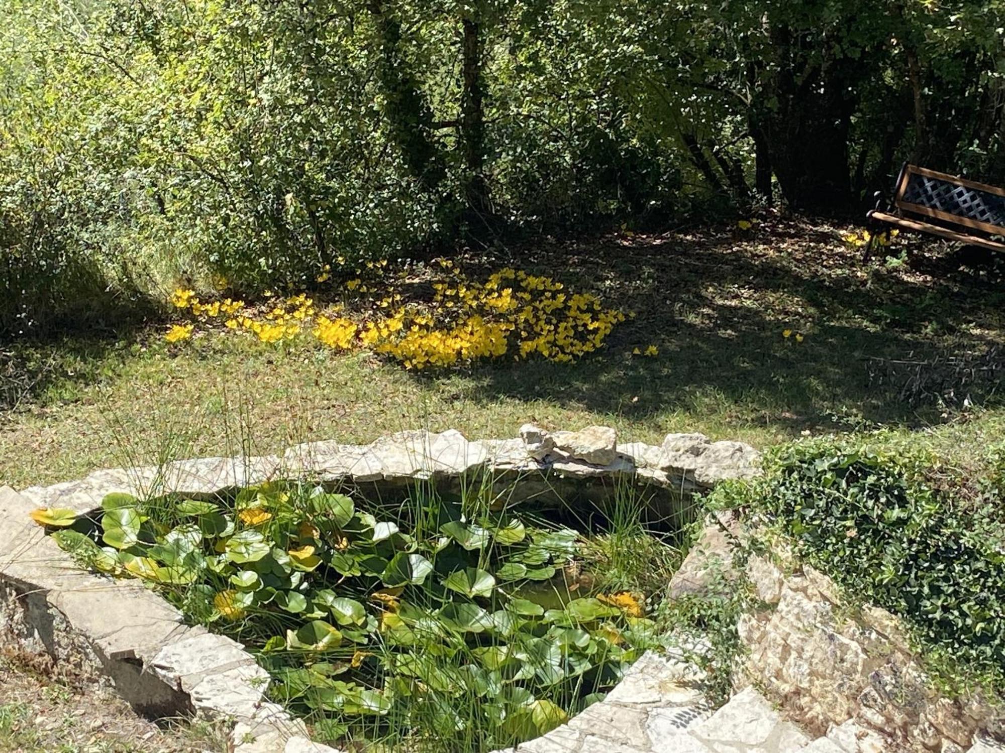 Saint-Marcel-du-Périgord Le Manoir De St Marcelヴィラ 部屋 写真