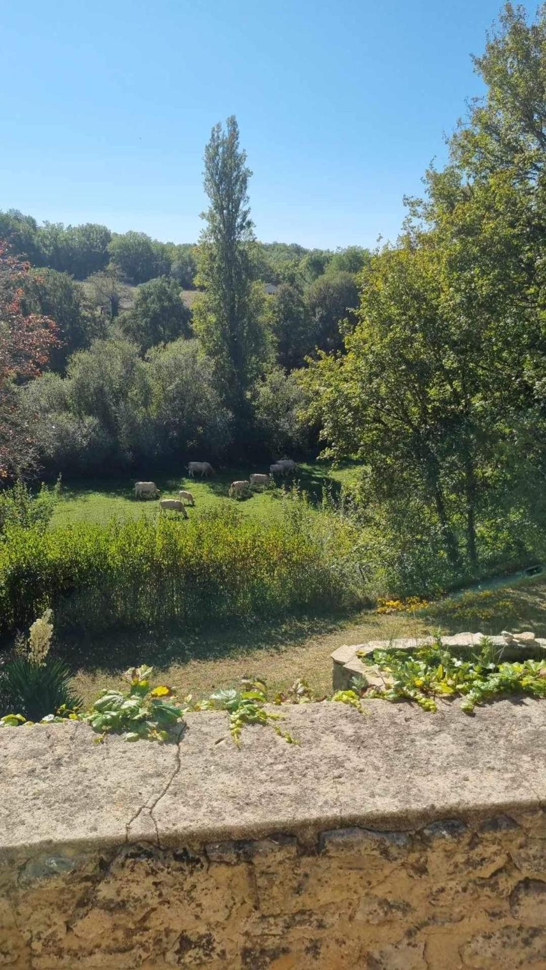 Saint-Marcel-du-Périgord Le Manoir De St Marcelヴィラ 部屋 写真